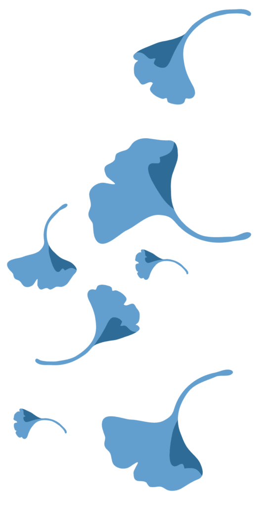 Auditoría Encora Hojas