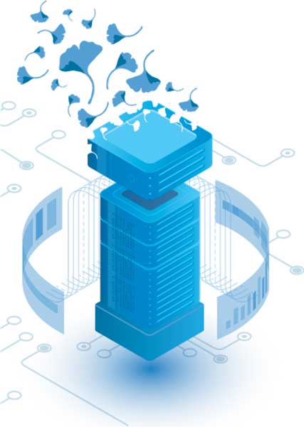 Cibersegurdad Encora